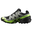 Heren hardloopschoenen Salomon Speedcross 6 Gore-Tex Black/Alloy/Green Gecko