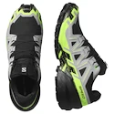 Heren hardloopschoenen Salomon Speedcross 6 Gore-Tex Black/Alloy/Green Gecko