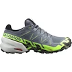 Heren hardloopschoenen Salomon SPEEDCROSS 6 GTX Flint/Grgeck/Black