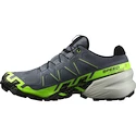 Heren hardloopschoenen Salomon SPEEDCROSS 6 GTX Flint/Grgeck/Black