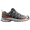 Heren hardloopschoenen Salomon Xa Pro 3D V9 Castlerock/Black/Burnt Ochre