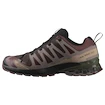 Heren hardloopschoenen Salomon Xa Pro 3D V9 Gore-Tex Black Coffee/Rum Raisin/Olive Night