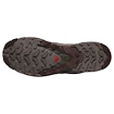 Heren hardloopschoenen Salomon Xa Pro 3D V9 Gore-Tex Black Coffee/Rum Raisin/Olive Night