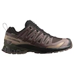 Heren hardloopschoenen Salomon Xa Pro 3D V9 Gore-Tex Black Coffee/Rum Raisin/Olive Night