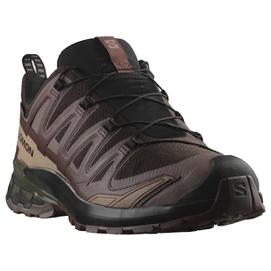 Heren hardloopschoenen Salomon Xa Pro 3D V9 Gore-Tex Black Coffee/Rum Raisin/Olive Night