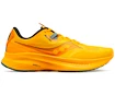 Heren hardloopschoenen Saucony  Gids 15 Gold/Pine