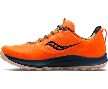 Heren hardloopschoenen Saucony  Peregrine 12 Campfire Stories