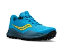 Heren hardloopschoenen Saucony  Peregrine 12 Ocean