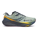 Heren hardloopschoenen Saucony  Triumph 22 Gtx Sage/Carbon  UK 10,5