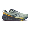 Heren hardloopschoenen Saucony  Triumph 22 Gtx Sage/Carbon  UK 7,5