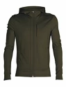 Heren hoodie Icebreaker  Quantum III LS Zip Loden