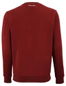 Heren hoodie Tecnifibre  Club Sweater Cardinal