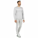 Heren hoodie Tecnifibre  Club Sweater Silver