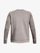 Heren hoodie Under Armour