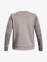 Heren hoodie Under Armour