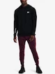 Heren hoodie Under Armour  TERRY HOODIE-BLK