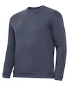 Heren hoodie Warrior Aurum Sweater Grey