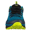 Heren outdoorschoenen Salewa  MS Dropline