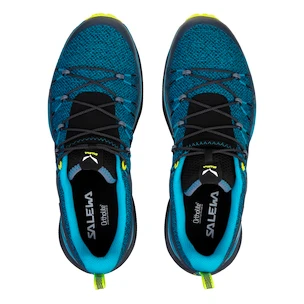 Heren outdoorschoenen Salewa  MS Dropline