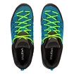 Heren outdoorschoenen Salewa  MS MTN Trainer Lite