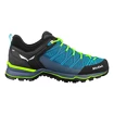 Heren outdoorschoenen Salewa MS MTN Trainer Lite