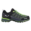 Heren outdoorschoenen Salewa  MS MTN Trainer Lite Gtx Myrtle/Ombre Blue  UK 9,5