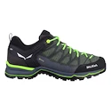 Heren outdoorschoenen Salewa  MS MTN Trainer Lite Gtx Myrtle/Ombre Blue  UK 9,5