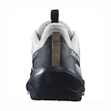 Heren outdoorschoenen Salomon ELIXIR ACTIV Glacier Gray/Carbon/Slate Green