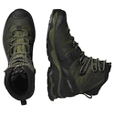 Heren outdoorschoenen Salomon Quest 4 Gore-Tex Olive Night/Peat/Safari
