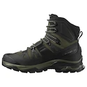Heren outdoorschoenen Salomon Quest 4 Gore-Tex Olive Night/Peat/Safari
