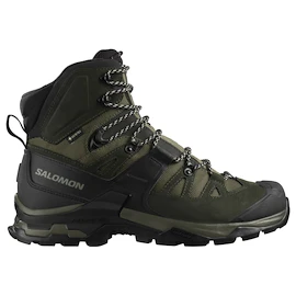 Heren outdoorschoenen Salomon Quest 4 Gore-Tex Olive Night/Peat/Safari