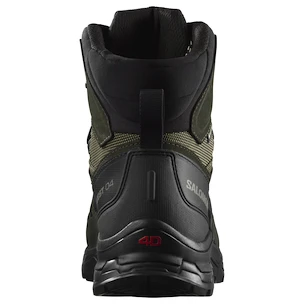 Heren outdoorschoenen Salomon Quest 4 Gore-Tex Olive Night/Peat/Safari