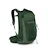 Heren rugzak OSPREY TALON 22 green canopy/pine leaf