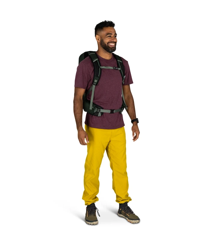 Heren rugzak OSPREY TALON 22 green canopy/pine leaf
