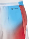 Heren short adidas  Melbourne Ergo Printed Shorts White/Red