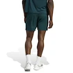 Heren short adidas  Tennis Climacool Ergo Shorts Aurora Ivy