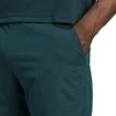 Heren short adidas  Tennis Climacool Ergo Shorts Aurora Ivy