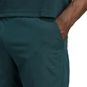 Heren short adidas  Tennis Climacool Ergo Shorts Aurora Ivy