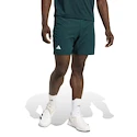 Heren short adidas  Tennis Climacool Ergo Shorts Aurora Ivy