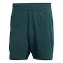 Heren short adidas  Tennis Climacool Ergo Shorts Aurora Ivy