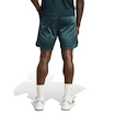 Heren short adidas  Tennis Pro Climacool Ergo Shorts Aurora Ivy