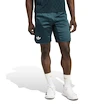 Heren short adidas  Tennis Pro Climacool Ergo Shorts Aurora Ivy