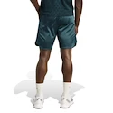 Heren short adidas  Tennis Pro Climacool Ergo Shorts Aurora Ivy