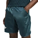 Heren short adidas  Tennis Pro Climacool Ergo Shorts Aurora Ivy