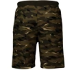 Heren short Fanatics  Digi Camo NFL Oakland Raiders