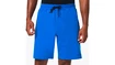 Heren short Oakley  VIGOR ELLIPSE SHORT