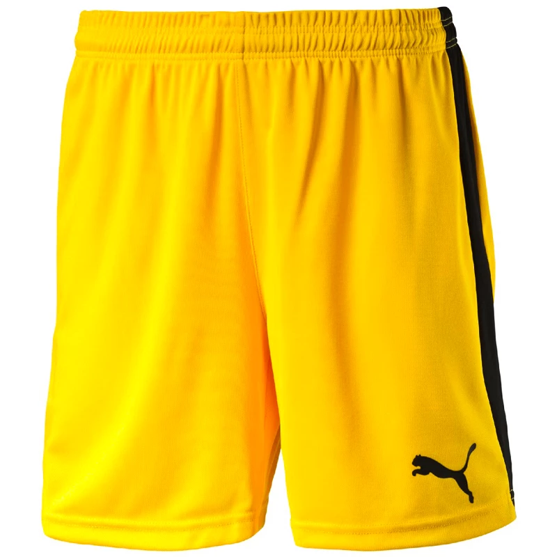 Heren short Puma  Pitch