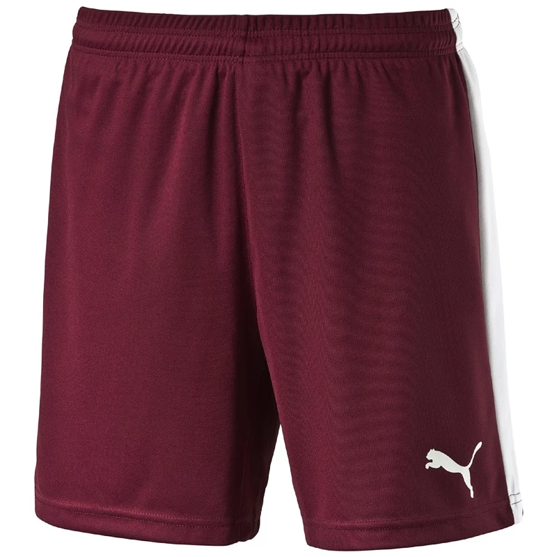 Heren short Puma  Pitch