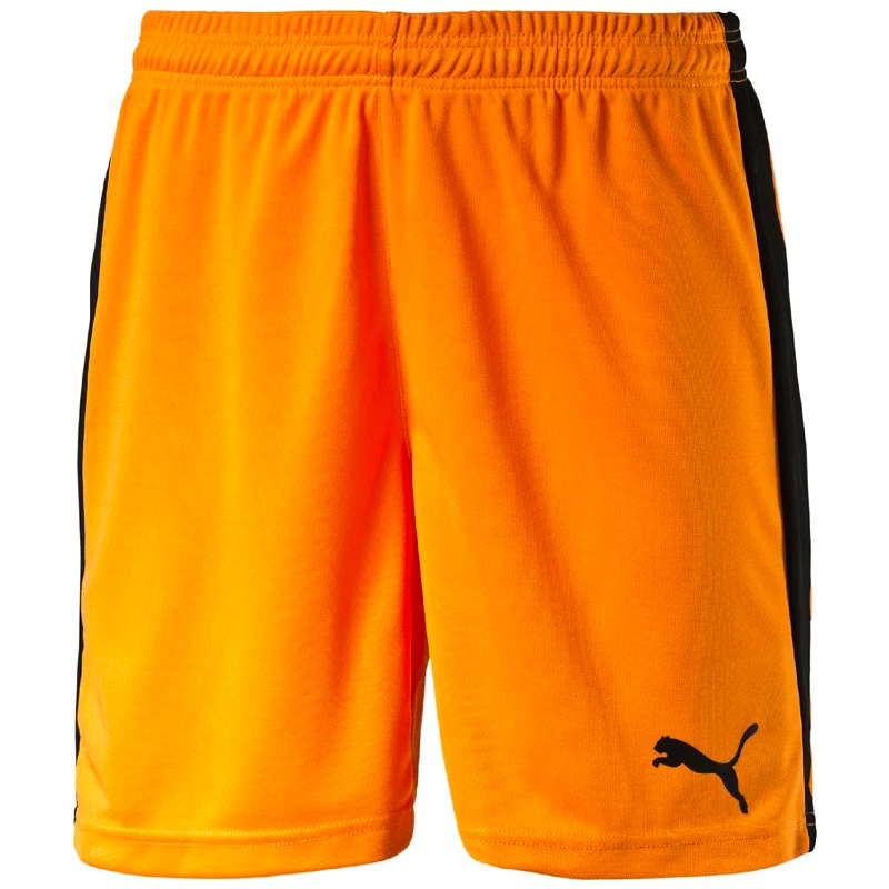 Heren short Puma  Pitch