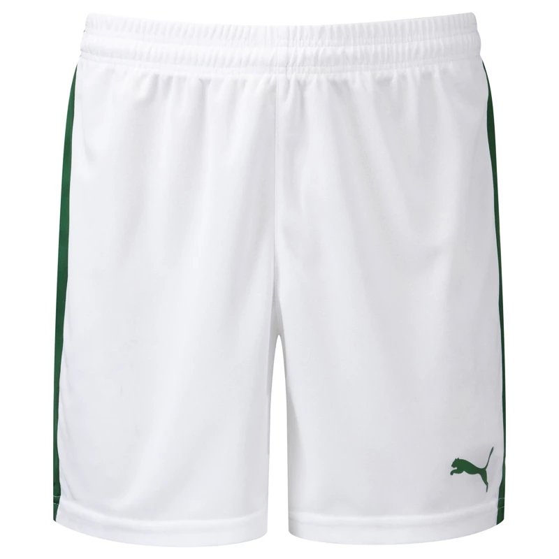 Heren short Puma  Pitch